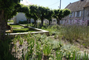 AMÉNAGEMENT DU CENTRE-BOURG