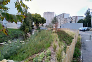 REQUALIFICATION DU BOULEVARD ÉDOUARD HERRIOT