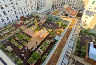 LE JARDIN PARTAGÉ DE LÉON