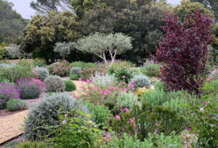 JARDIN MEDITERRANÉEN DE CABRIÈRES D'AVIGNON