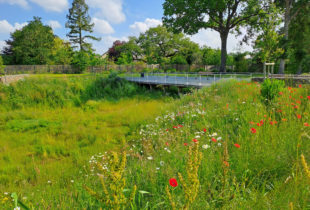 PARC D'ACTIVITÉS DU CHÊNE MORAND