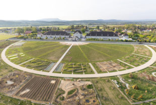 UN CERCLE IMMENSE À LA SALINE ROYALE
