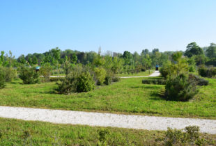 "AMÉNAGEMENT DE LA PROMENADE DE CHAMPAGNE ET DU PARC DES LATITUDES À HAUSSIMONT"